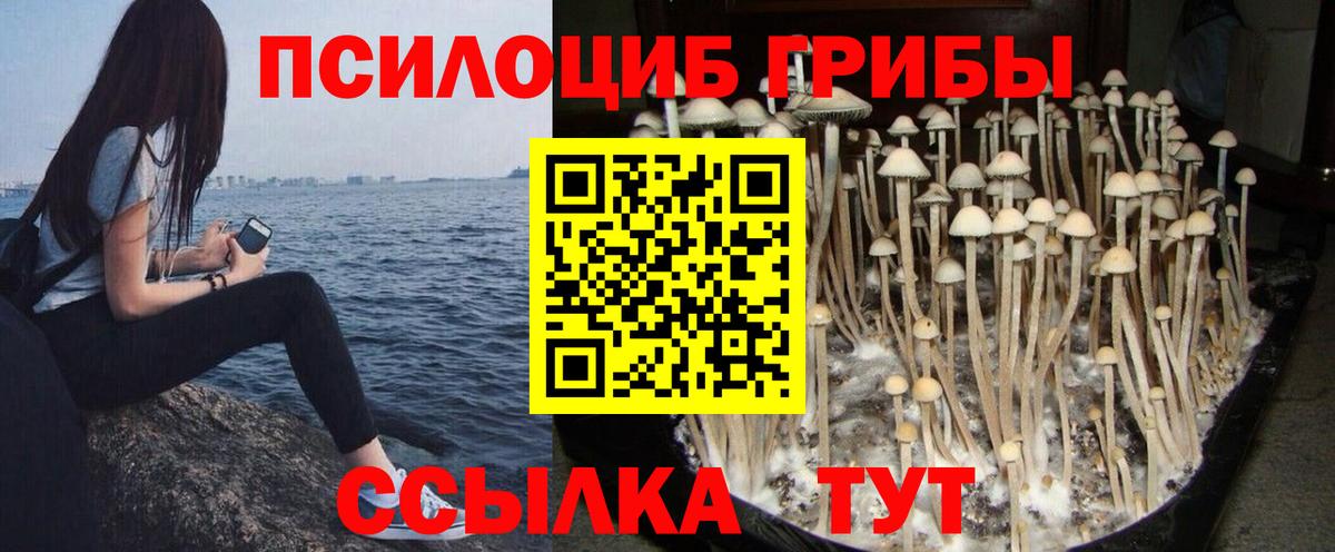 Электрогорск  Псилоцибиновые грибы Magic Shrooms  Галлюциногенные грибы Magic Shrooms  Вход с VPN 