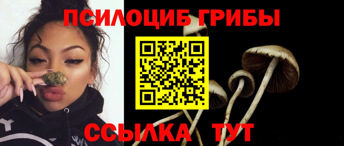 Псилоцибиновые грибы GOLDEN TEACHER Электрогорск